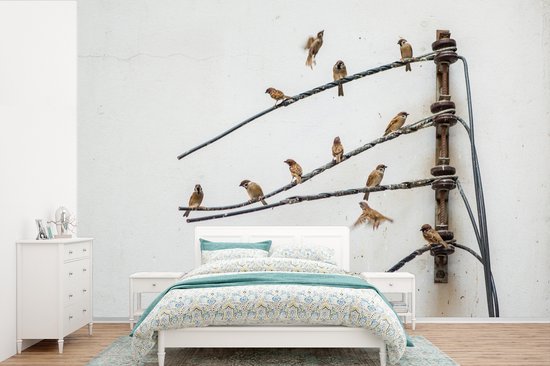 Papier peint vinyle - Essaim de moineaux annulaires sur fils électriques largeur 420 cm x hauteur 280 cm - Tirage photo sur papier peint (disponible en 7 tailles)