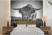 Behang - Fotobehang Schotse hooglander - Gras - Zwart - Wit - Breedte 300 cm x hoogte 300 cm