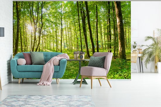 Vlies fotobehang bos zon natuur bomen landschap - incl. lijm - voor woonkamer slaapkamer hal modern vliesbehang behang behang motief behang klaar voor montage (152x104 cm