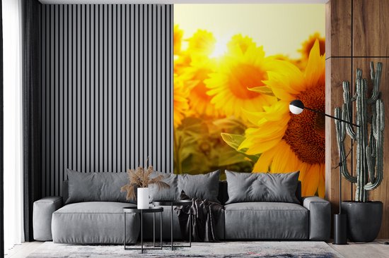 Behang - Fotobehang Zonnebloem - Geel - Bloemen - Zon - Breedte 195 cm x hoogte 300 cm