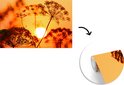 Product afbeelding  7