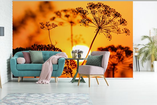 Behang - Fotobehang Planten - Bloemen - Zonsondergang - Oranje - Breedte 405 cm x hoogte 260 cm