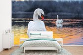 Behang - Fotobehang Zwaan - Vogel - Zonsondergang - Water - Breedte 320 cm x hoogte 240 cm