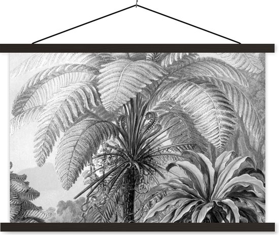 Porte Affiche avec Affiche Jungle Botanique Noir Blanc