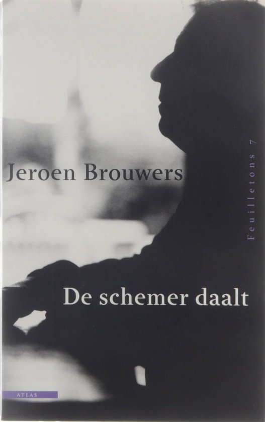 Cover van het boek 'De schemer daalt' van Jeroen Brouwers