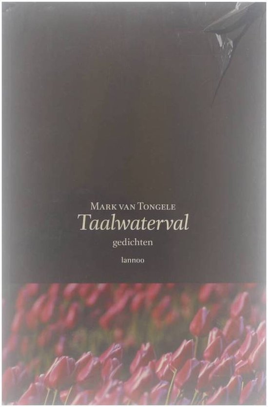 Cover van het boek 'Taalwaterval'