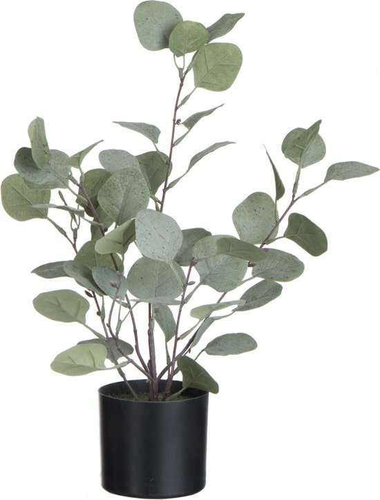 J-Line plant Eucalyptus In Pot - kunststof - groen - small