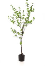 Kunstplant - Tropaeolum Speciosum - Oost Indische Kers - 150 cm