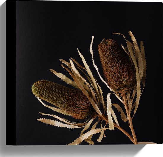 Canvas - Duo van Banksia Menziesii Planten in Witte Vaas - 30x30 cm Foto op Canvas Schilderij (Wanddecoratie op Canvas)