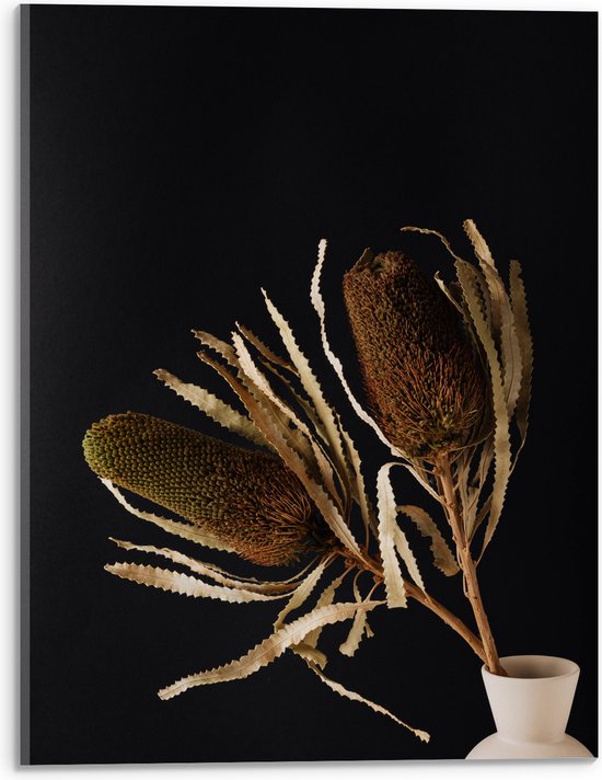 Acrylglas - Duo van Banksia Menziesii Planten in Witte Vaas - 30x40 cm Foto op Acrylglas (Met Ophangsysteem)
