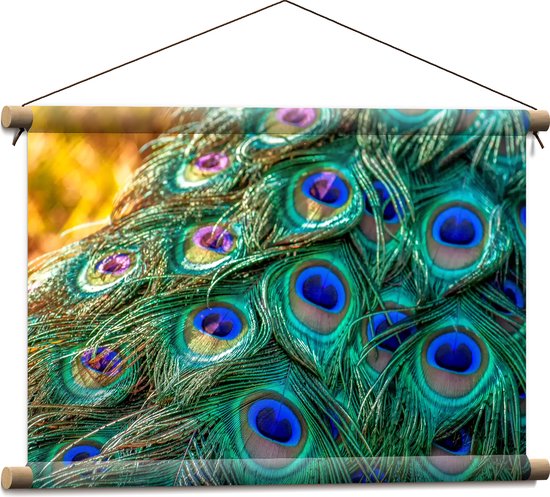 WallClassics - Textielposter - Close-up van Patroon op Pauwenveren - 60x40 cm Foto op Textiel