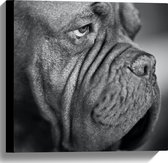 WallClassics - Canvas - Kwijlende Hond (Zwart- wit) - 40x40 cm Foto op Canvas Schilderij (Wanddecoratie op Canvas)