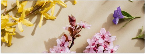 Poster Glanzend – Geel, Roze en Paarse Bloemen in Verschillende Soorten - 60x20 cm Foto op Posterpapier met Glanzende Afwerking