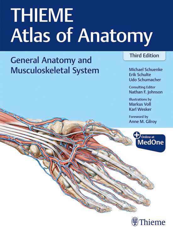 THIEME Atlas of Anatomy : Anatomie Générale et Système Musculo-squelettique, Troisième Édition. Illustration de la main humaine avec muscles, os et vaisseaux sanguins.