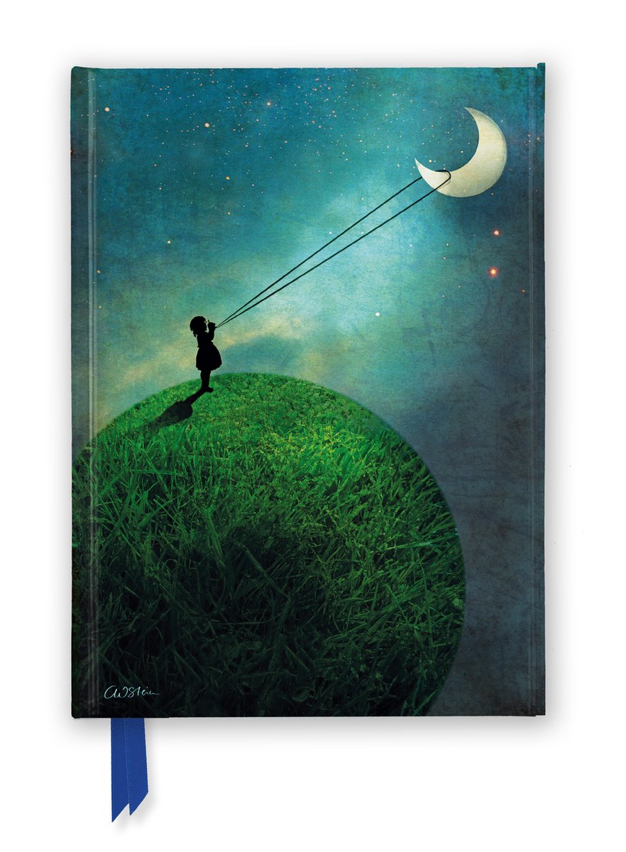ISBN Chasing the moon notebook