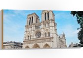 WallClassics - Hout - Notre-Dame Kathedraal - Parijs - 100x50 cm - 9 mm dik - Foto op Hout (Met Ophangsysteem)