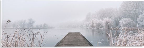 Acrylglas - Houten Vlonder in de Mist met Grassen - 60x20 cm Foto op Acrylglas (Met Ophangsysteem)