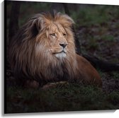 Canvas - Leeuw met Lange Manen Liggend in Groen Landschap - 100x100 cm Foto op Canvas Schilderij (Wanddecoratie op Canvas)