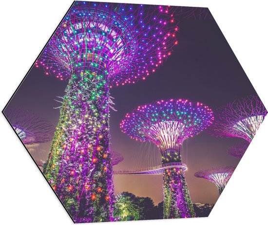 WallClassics - Dibond Hexagon - Natuurpark in Nacht - Singapore - 80x69.6 cm Foto op Hexagon (Met Ophangsysteem)