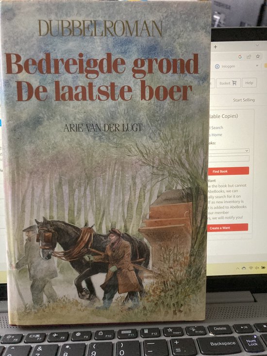 Hanneke van de pont de verliefde clown