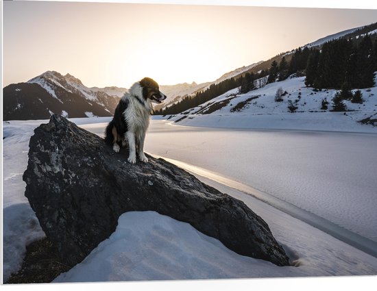 WallClassics - PVC Schuimplaat- Hond op een Rots in de Sneeuw tussen de Bergen - 100x75 cm Foto op PVC Schuimplaat
