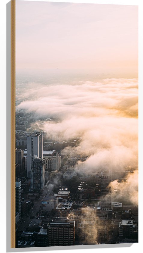 WallClassics - Hout - Laag Wolken over de Stad - 50x100 cm - 9 mm dik - Foto op Hout (Met Ophangsysteem)