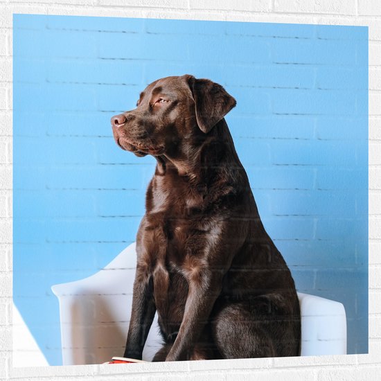 WallClassics - Muursticker - Grote Hond Zittend op Stoel met Kop Koffie - 100x100 cm Foto op Muursticker