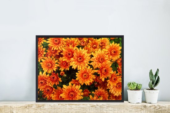 Cadre photo avec poster - Fleurs - Oranje - Chrysanthème - 40x30 cm - Cadre poster