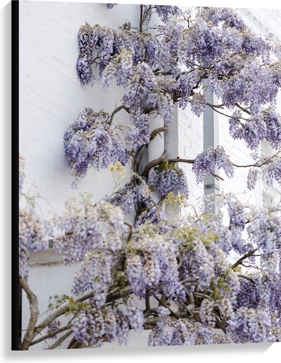 WallClassics - Canvas - Wit met Paarse Bloemen Plant - 75x100 cm Foto op Canvas Schilderij (Wanddecoratie op Canvas)