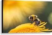 WallClassics - Toile - Abeille sur une Bloem Jaune - 90x60 cm Tableau sur Toile (Décoration murale sur Toile)