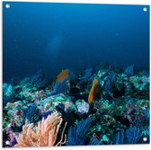 WallClassics - Tuinposter – Koraal onder Water - 80x80 cm Foto op Tuinposter (wanddecoratie voor buiten en binnen)