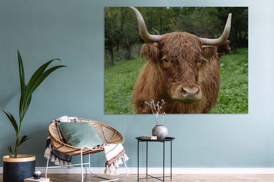 Tableau sur toile Highlander écossais - Animaux - Herbe - 160x120 cm - Décoration murale XXL