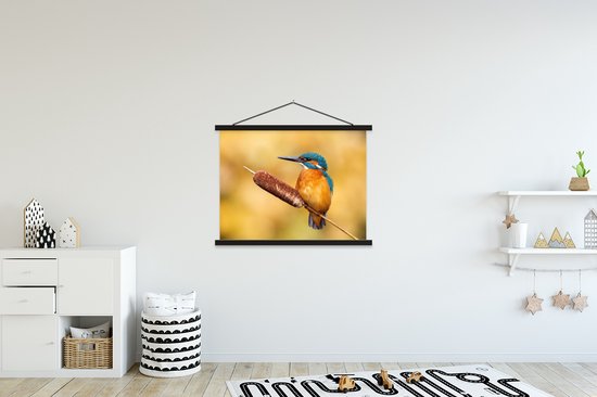 Porte-affiche avec affiche - Affiche scolaire - Martin-pêcheur - Nature - Vogel - 150x113 cm - Lattes noires