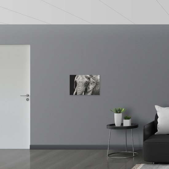 WallClassics - Panneau de mousse PVC - Éléphant Zwart et Wit - Photo 60 x 40 cm sur panneau de mousse PVC (avec système de suspension)
