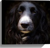 WallClassics - Canvas - Zwarte Hond met Witte Neus - 30x30 cm Foto op Canvas Schilderij (Wanddecoratie op Canvas)