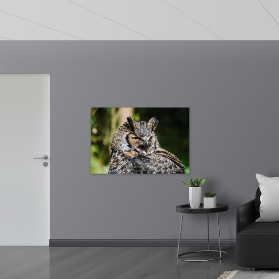 WallClassics - Poster (Matte) - Hibou béant - 120x80 cm Photo sur Papier Poster avec un aspect Mat