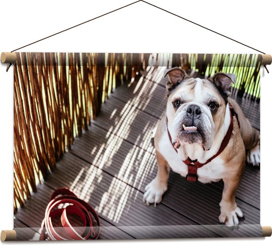 WallClassics - Textielposter - Bulldog op Houten Planken - 60x40 cm Foto op Textiel