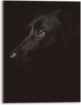 WallClassics - Acrylglas - Zwarte Artistieke Hond - 30x40 cm Foto op Acrylglas (Wanddecoratie op Acrylaat)