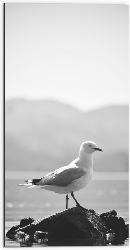 WallClassics - Dibond - Meeuw op een Steen in het Water - 50x100 cm Foto op Aluminium (Wanddecoratie van metaal)