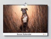 Boxer Kalender - Verjaardagskalender - 35x24cm - Huurdies