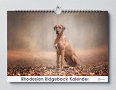 Rhodesian Ridgeback Kalender - Verjaardagskalender - 35x24cm - Huurdies