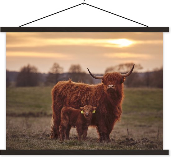 Posterhanger incl. Poster 150x113 cm - Schoolplaat - Schotse hooglander - Dieren - Landschap - Zonsondergang - Koe - Textielposter - Blanke latten
