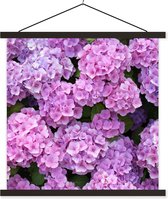 Posterhanger incl. Poster 40x40 cm - Schoolplaat - Bloemen - Hortensia - Struik - Roze - Bloemblaadjes - Textielposter - Zwarte latten