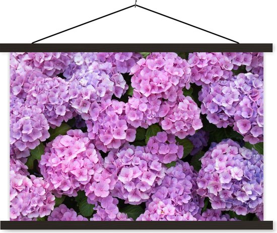 Posterhanger incl. Poster 60x40 cm - Schoolplaat - Bloemen - Hortensia - Struik - Roze - Bloemblaadjes - Textielposter - Zwarte latten