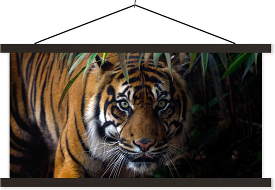 Porte-affiche avec affiche - Affiche scolaire - Tigre - Feuilles - Jungle - Animaux - Jeu - 90x45 cm - Lattes noires