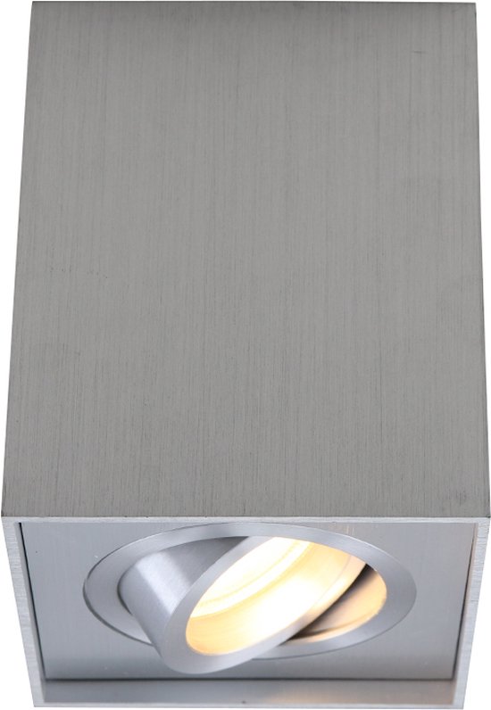 Olucia Dane - Moderne Opbouwspot - Aluminium - Zilver - Vierkant