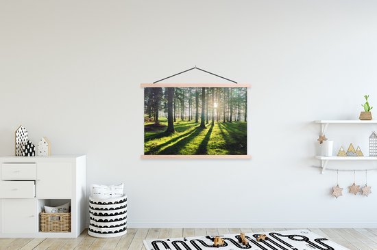 Affiche scolaire - Arbres - Nature - Forêt - 150x100 cm - Lattes vierges