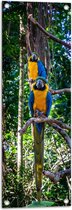 WallClassics - Tuinposter – Exotische Vogels - Ara's - 30x90 cm Foto op Tuinposter (wanddecoratie voor buiten en binnen)