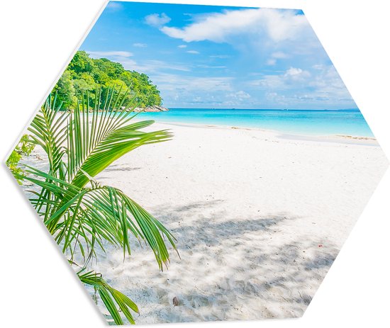 PVC Schuimplaat Hexagon - Palmbladeren Hangend boven Wit Strand bij Helderblauwe Zee - 60x52.2 cm Foto op Hexagon (Met Ophangsysteem)