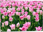 Tuinposter – Roze Bloemen in Bloemenveld - 80x60 cm Foto op Tuinposter (wanddecoratie voor buiten en binnen)
